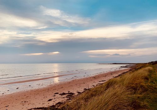 Beach with grass